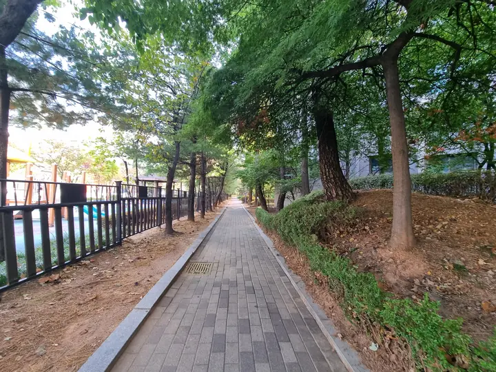 소나무 사이로 곧게 난 산책로