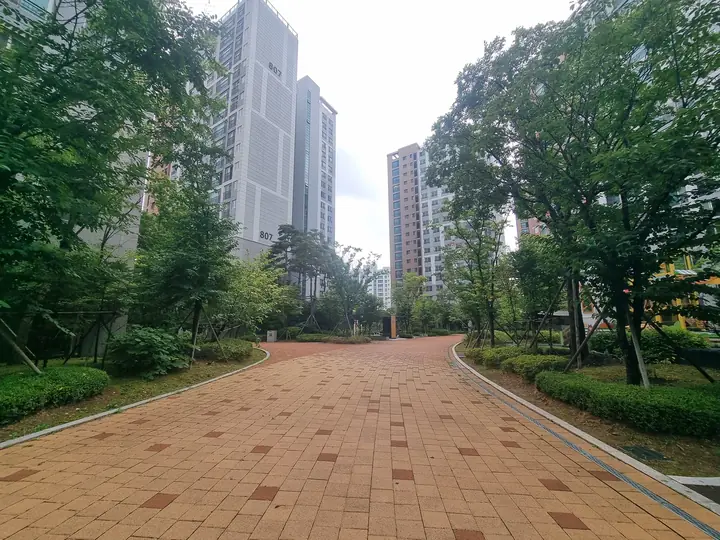 수목이 우거진 넓은 보행로
