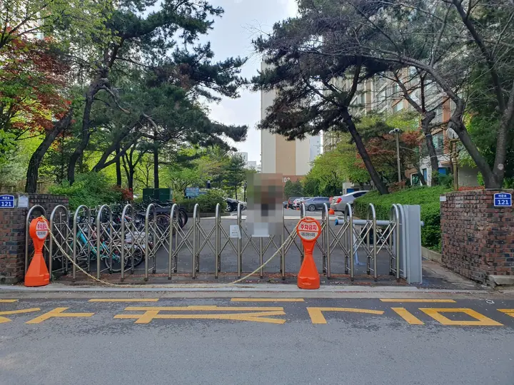 소나무 사이로 들어가는 보행 출입구