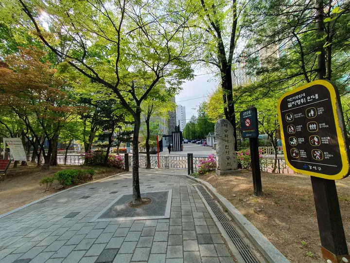 나무가 늘어선 보도