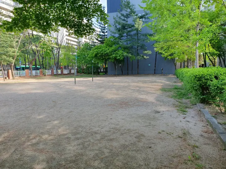 나무로 둘러싸인 공터