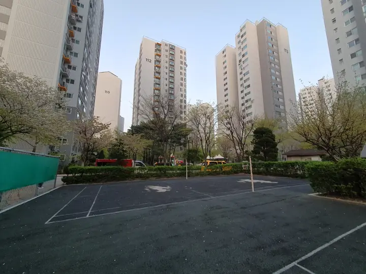 나무 사이로 본 동 전경