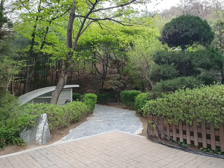 돌길이 난 정원