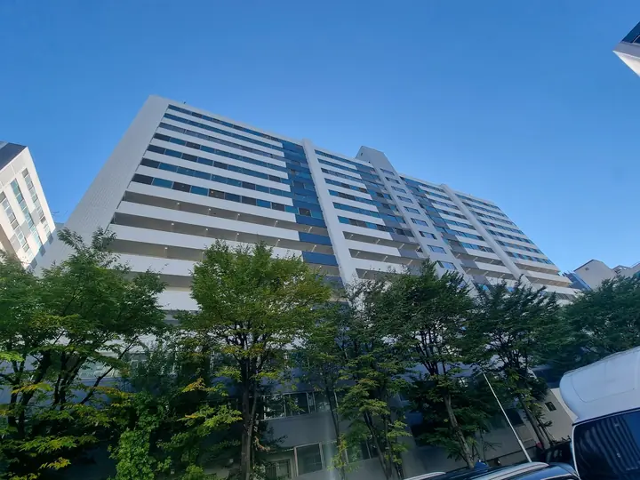 나무 너머로 길게 이어진 동