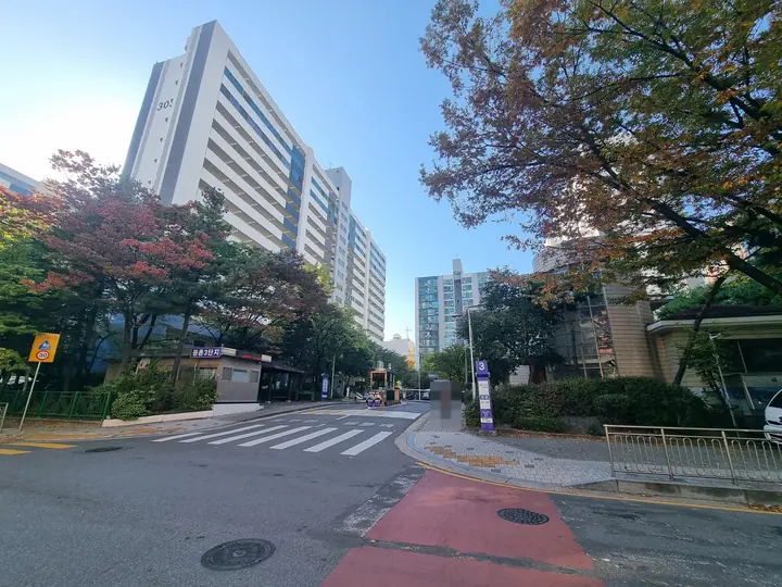 단풍 든 나무 너머 고층 동