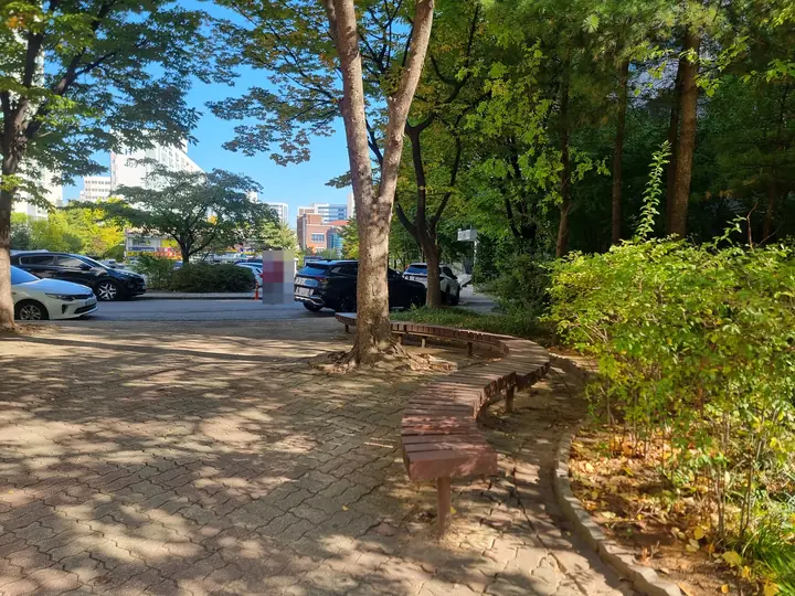 나무를 따라 휘어진 긴 벤치