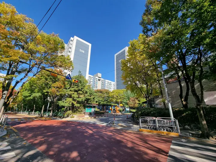 노랗게 물든 은행나무가 선 단지 입구 길