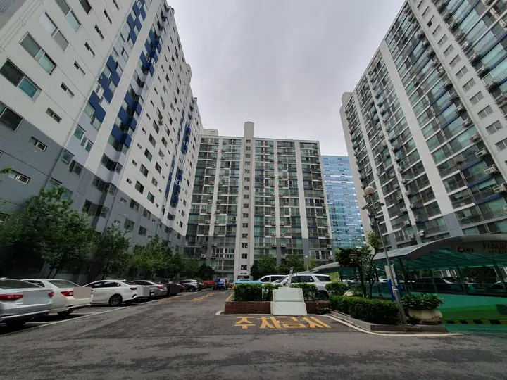 라인 대표 사진