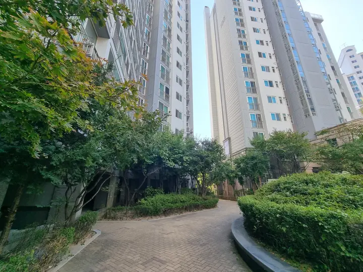 둥근 화단 사이로 휘어지는 단지 안길