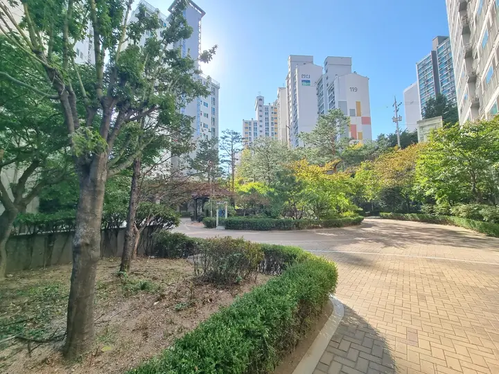 나무 그늘이 드리운 단지 안 광장길