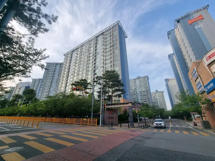 큰길에서 본 단지 동들