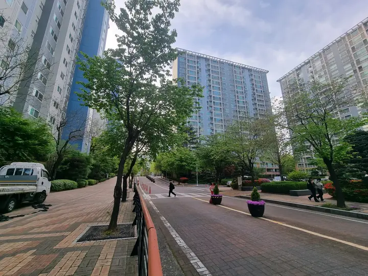 가로수가 늘어선 단지 안 도로