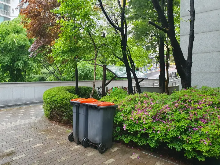 철쭉 화단을 따라 이어진 길
