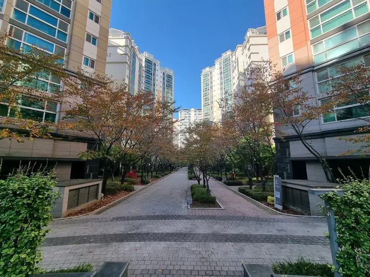 단풍 든 나무가 늘어선 동 사이 산책로