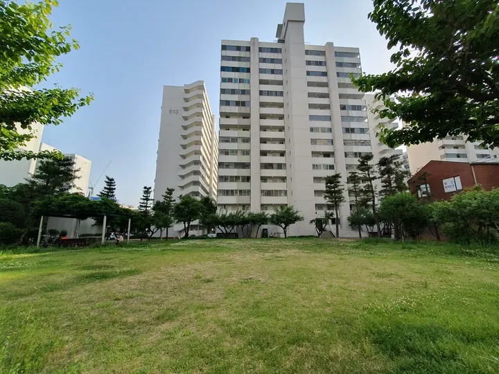 고층 동 앞 넓은 잔디마당