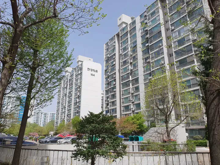 나무 사이로 보이는 104동