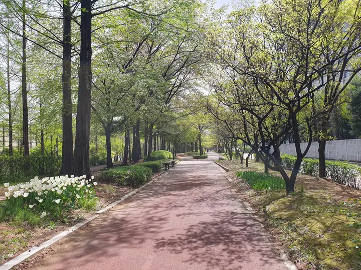 튤립이 핀 단지 둘레 자전거길