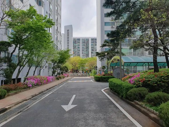 철쭉이 핀 단지 안 도로