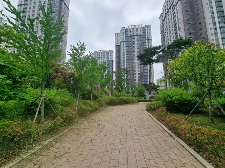 나무가 줄지어 선 산책로