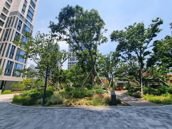 보행로 옆 수목 정원