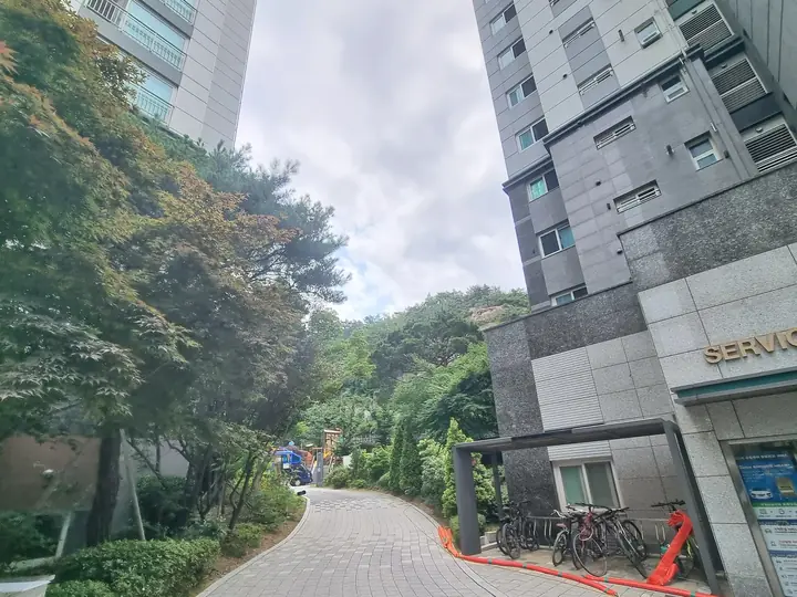 언덕을 따라 오르는 단지 안 도로