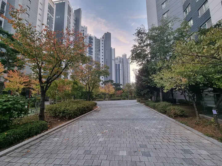 단풍 든 나무 사이 넓은 단지 안길