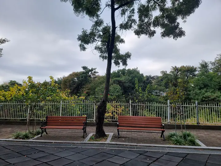 단지 뒤편 숲 앞 벤치