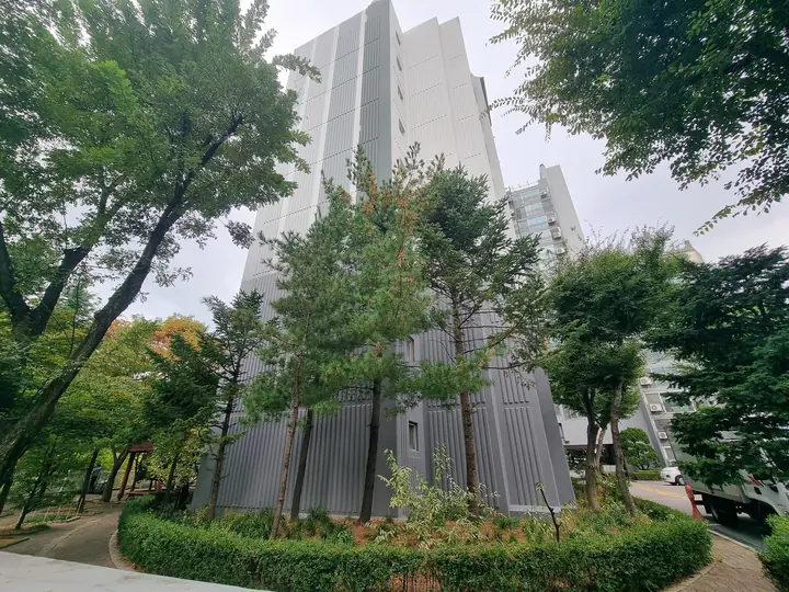 동 앞 원형 화단