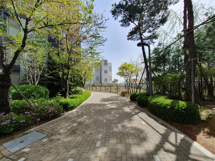 소나무 산책로
