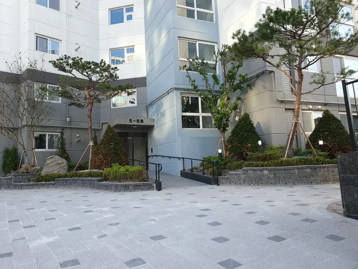 소나무 정원 너머 동 출입구