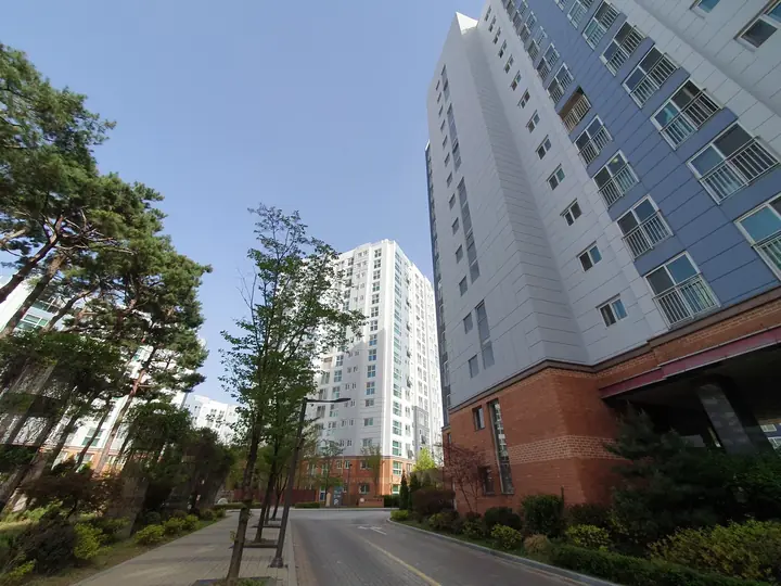 가로수가 늘어선 단지 안 도로