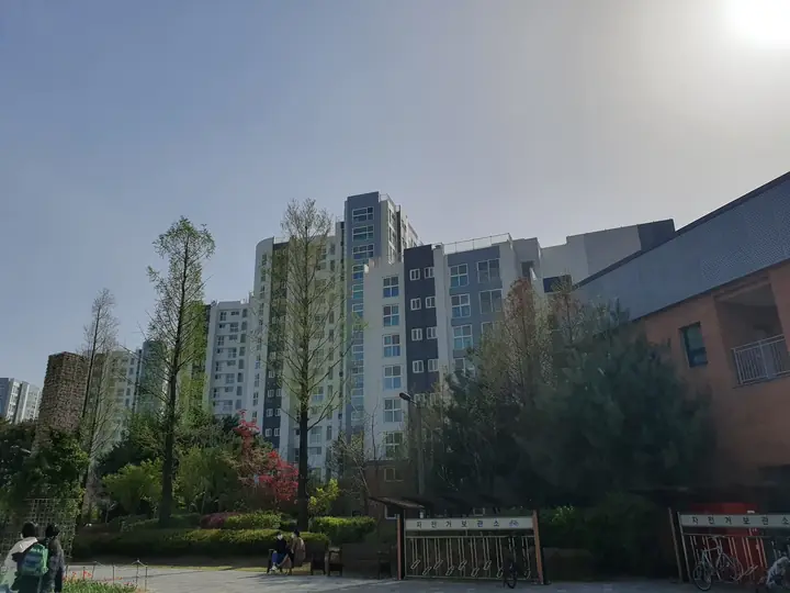 나무 너머로 보이는 동