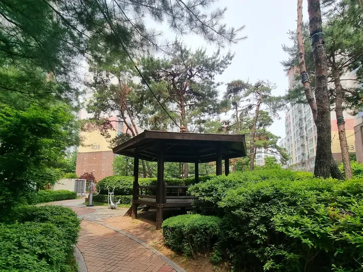 정자로 이어지는 소나무 산책로