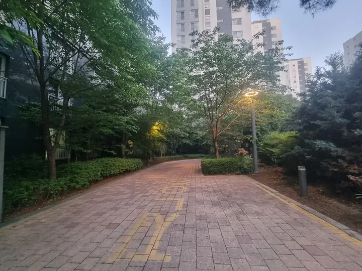 가로등이 켜진 숲 산책로