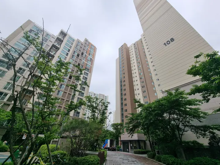 나무 사이로 올려다본 108동