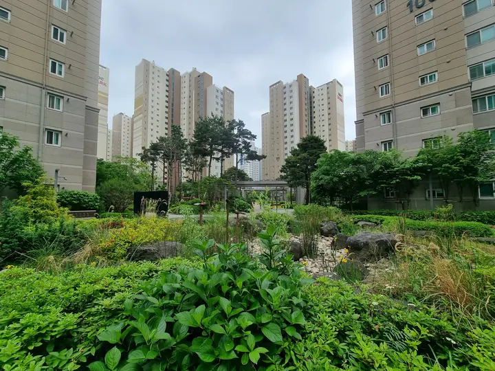 고층 동에 둘러싸인 자연석 정원