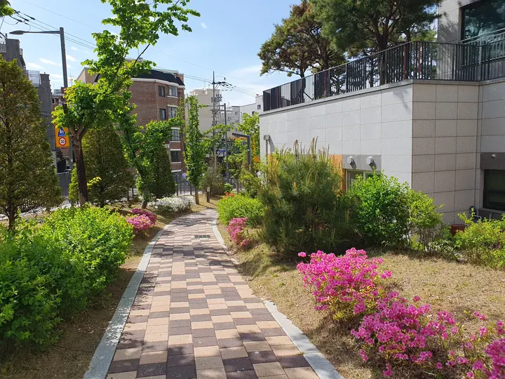 철쭉 핀 담장 산책로