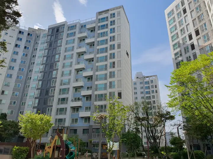 나무 사이로 보이는 동 전경