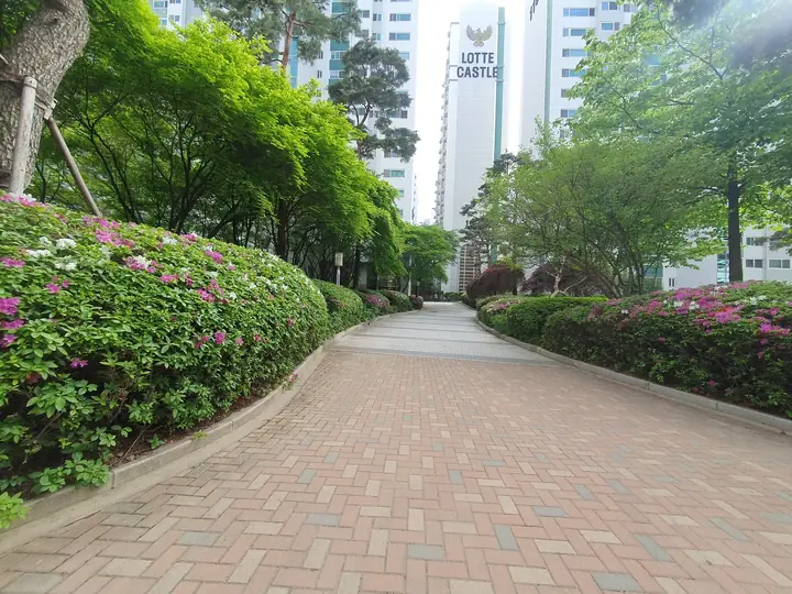 철쭉 따라 이어진 산책길