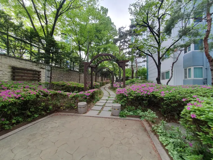 철쭉 핀 퍼걸러 산책길