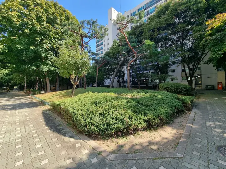 소나무와 화단이 있는 동 앞 정원