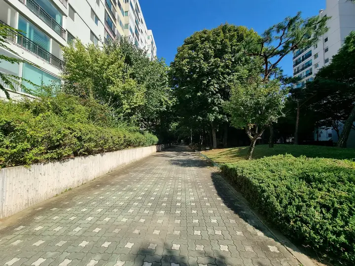동 옆 화단을 낀 보행로