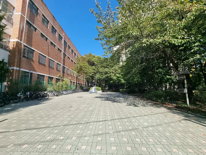 학교 담장을 따라 난 넓은 보행로