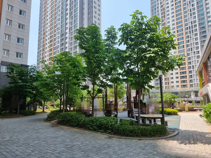 나무 사이 놀이터와 쉼터