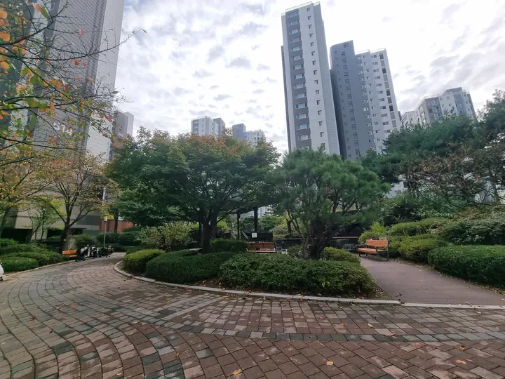 소나무 화단을 도는 단지 안 산책길