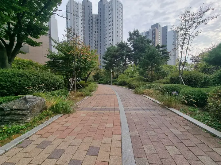 나무 사이로 이어진 단지 산책로