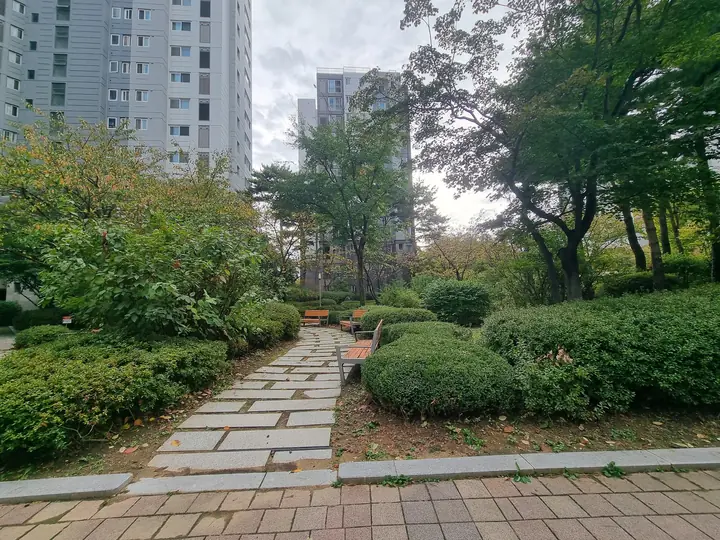 관목 사이 돌판 오솔길과 벤치