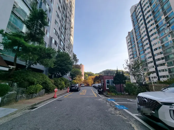 경비실을 지나 뒤편 숲으로 이어지는 길