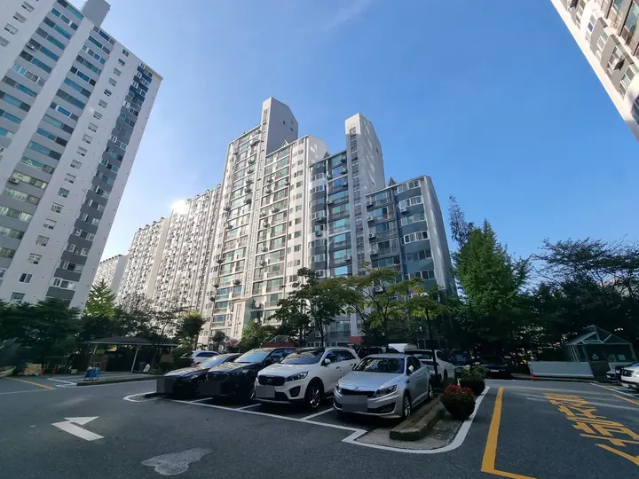 나무 너머로 이어진 동과 주차장