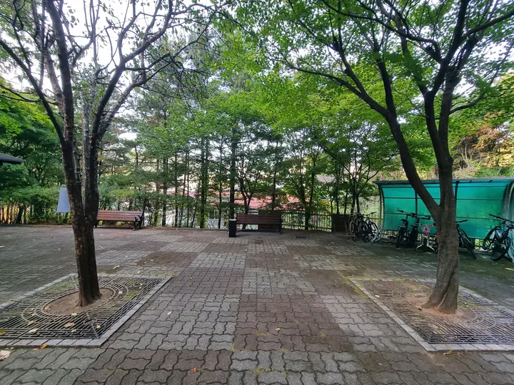 나무 사이 벤치 쉼터